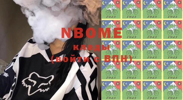 индика Карталы