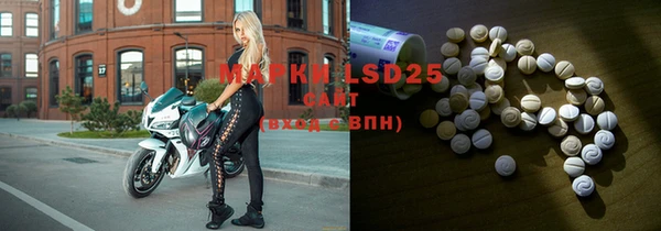 индика Карталы