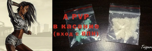 индика Карталы