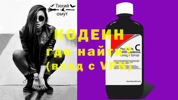 индика Карталы
