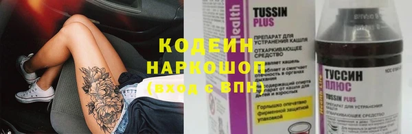 индика Карталы