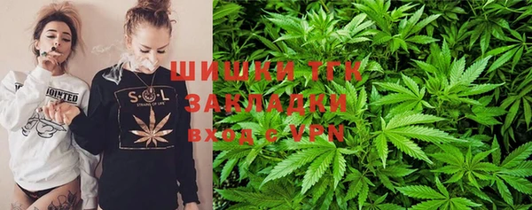 индика Карталы