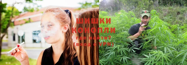 jwh Карпинск