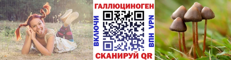 Купить где  Гуково  Галлюциногенные грибы MAGIC MUSHROOMS 